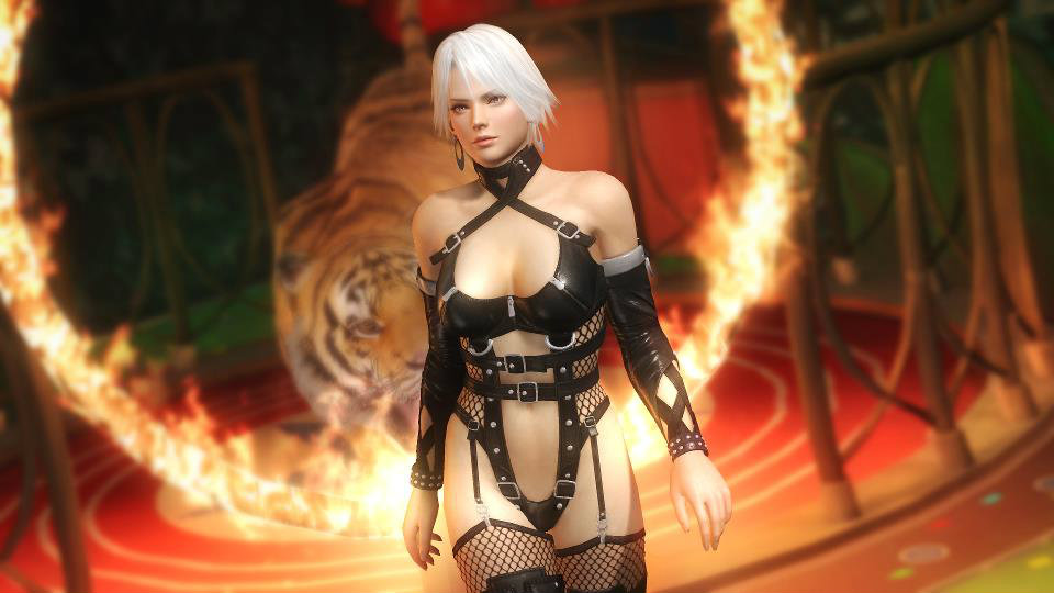 Dead or Alive 5: Last Round