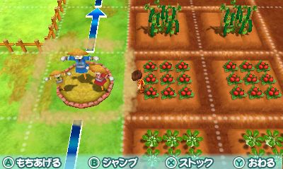 Story of Seasons: Good Friends of Three Villages