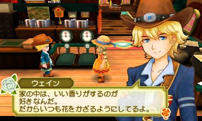 Story of Seasons: Good Friends of Three Villages