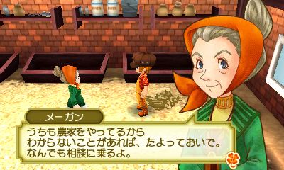 Story of Seasons: Good Friends of Three Villages