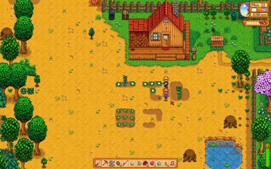 Stardew Valley