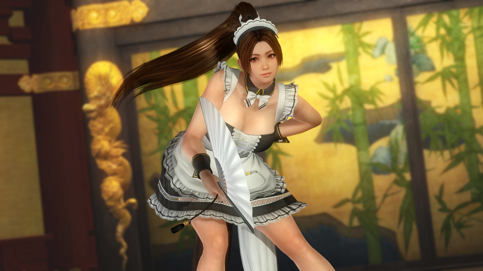 Dead or Alive 5: Last Round