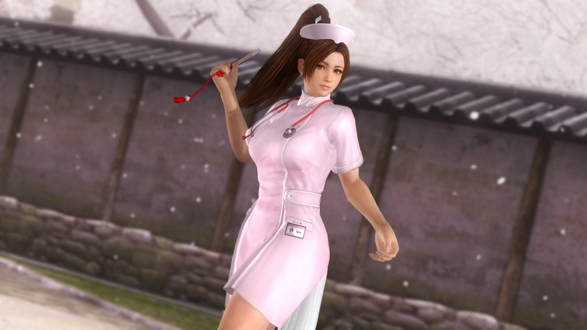 Dead or Alive 5: Last Round