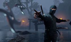 Ninja Simulator สวมบทบาทเป็นนักฆ่าไร้เงาสำหรับ PC