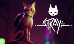 ไม่ธรรมดา Stray เกมเล่นเป็นน้องเหมียวที่แม้แต่แมวตัวจริงยังชอบ!