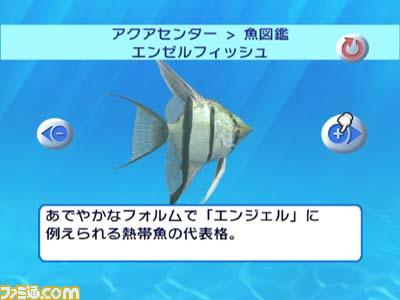 เกมส์ Blue Oasis