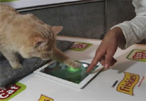 Cat Fishing เกมเหมียวๆ สำหรับแมวใน iPad