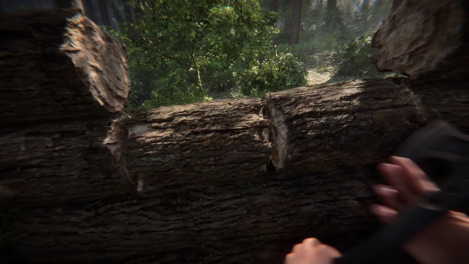 เกม Sons of the Forest