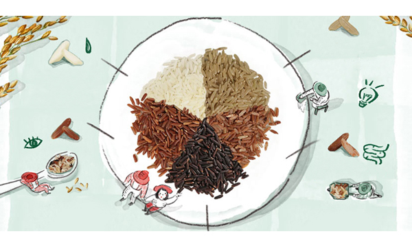 เทรนด์ใหม่! “ทานข้าวอินทรีย์” อร่อยดีแถมมีประโยชน์อีกเพียบ