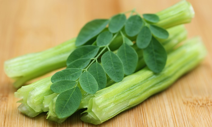 horseradish-tree