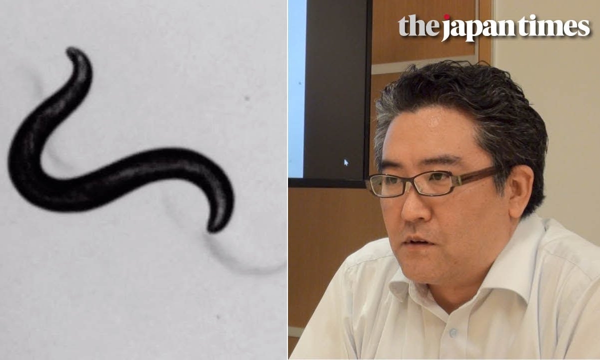 ตรวจหามะเร็งด้วยหนอน วิธีใหม่ที่ให้ผลลัพธ์แม่นยำ 95%