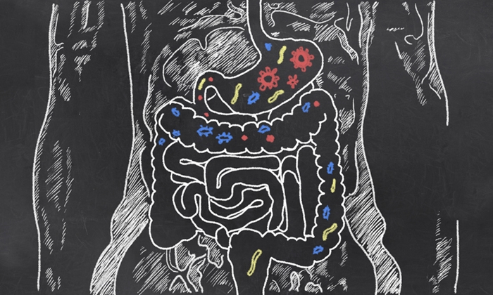 "จุลินทรีย์ในลำไส้" อาจเกี่ยวข้องกับโรคอ้วน เเละอาการซึมเศร้า