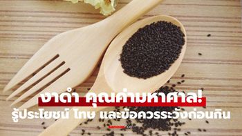 งาดำ กินแล้วดีหรืออันตราย? ประโยชน์ โทษ และข้อควรระวังครบทุกเรื่อง