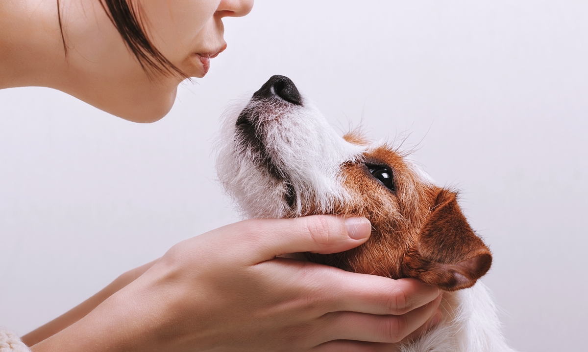 พบไวรัส “โคโรนาสายพันธุ์ใหม่” ในสุนัข แพร่เชื้อถึงมนุษย์ได้