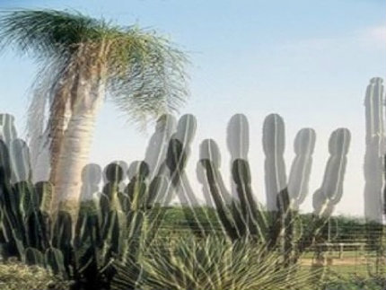 มาเรียนรู้หลักการทำงานการแสดงภาพ 3มิติ ตั้งแต่อดีตจนถึงปัจจุบันกันเถอะ