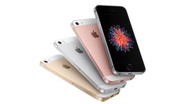 Apple ไขปริศนาตัวย่อของ iPhone SE ที่แท้จริงย่อมาจากอะไร