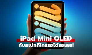 รอ iPad mini OLED ดีไหม? รวมข่าวลือก่อนเปิดตัวปี 2026