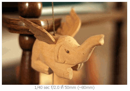 <strong>เทคนิคการถ่ายภาพแบบ ชัดตื้น/ชัดลึก</strong>