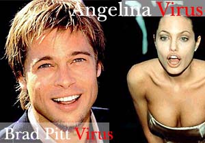ไวรัส Brad Pitt ระบาด