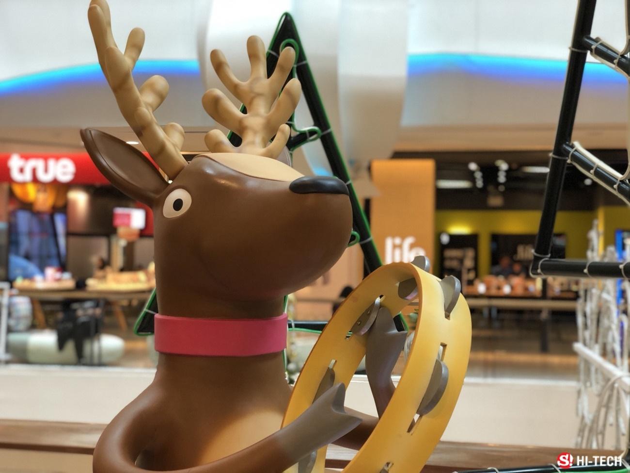 ตัวอย่างภาพถ่ายจาก iPhone X