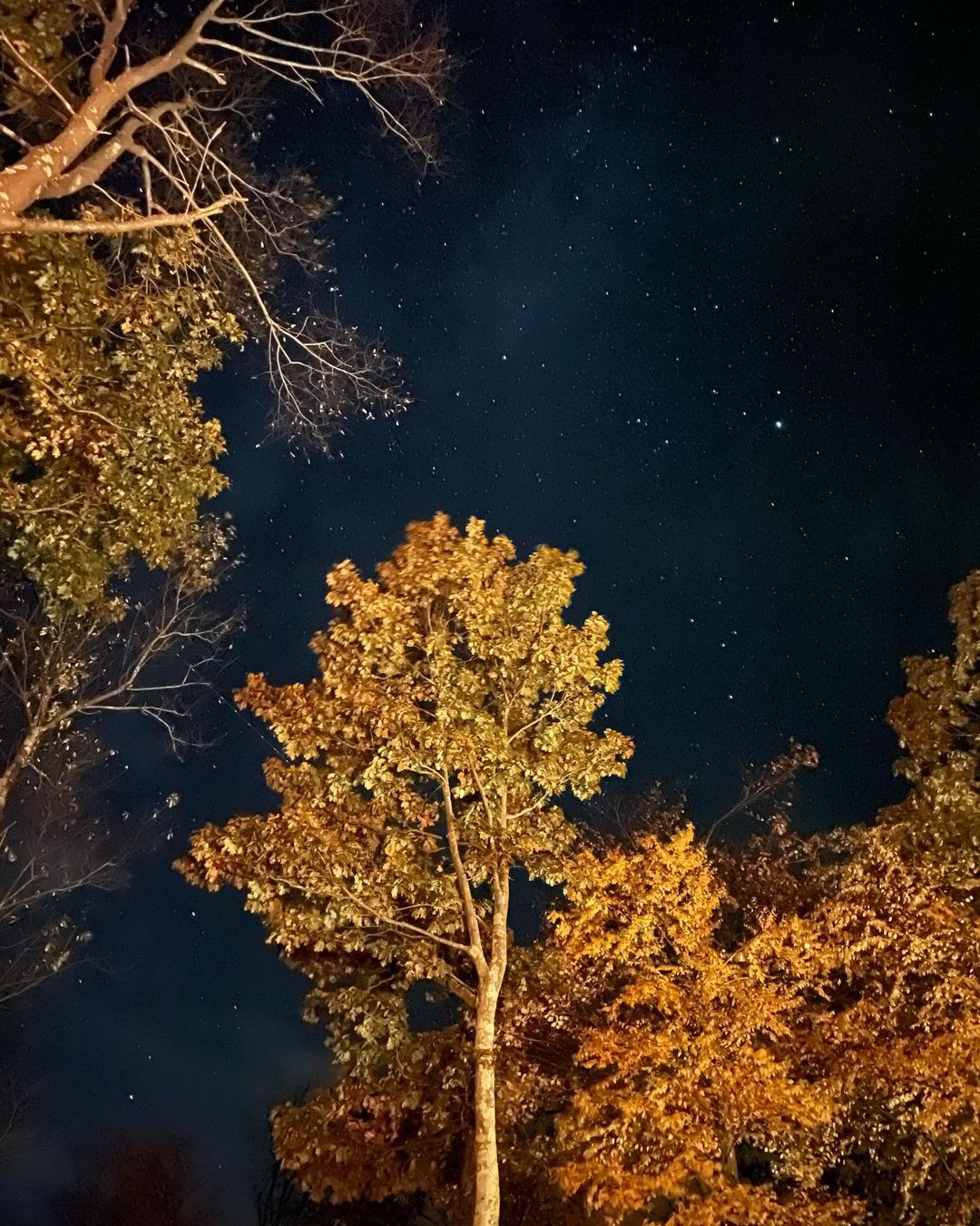 ตัวอย่างภาพจาก iPhone 12 Pro 