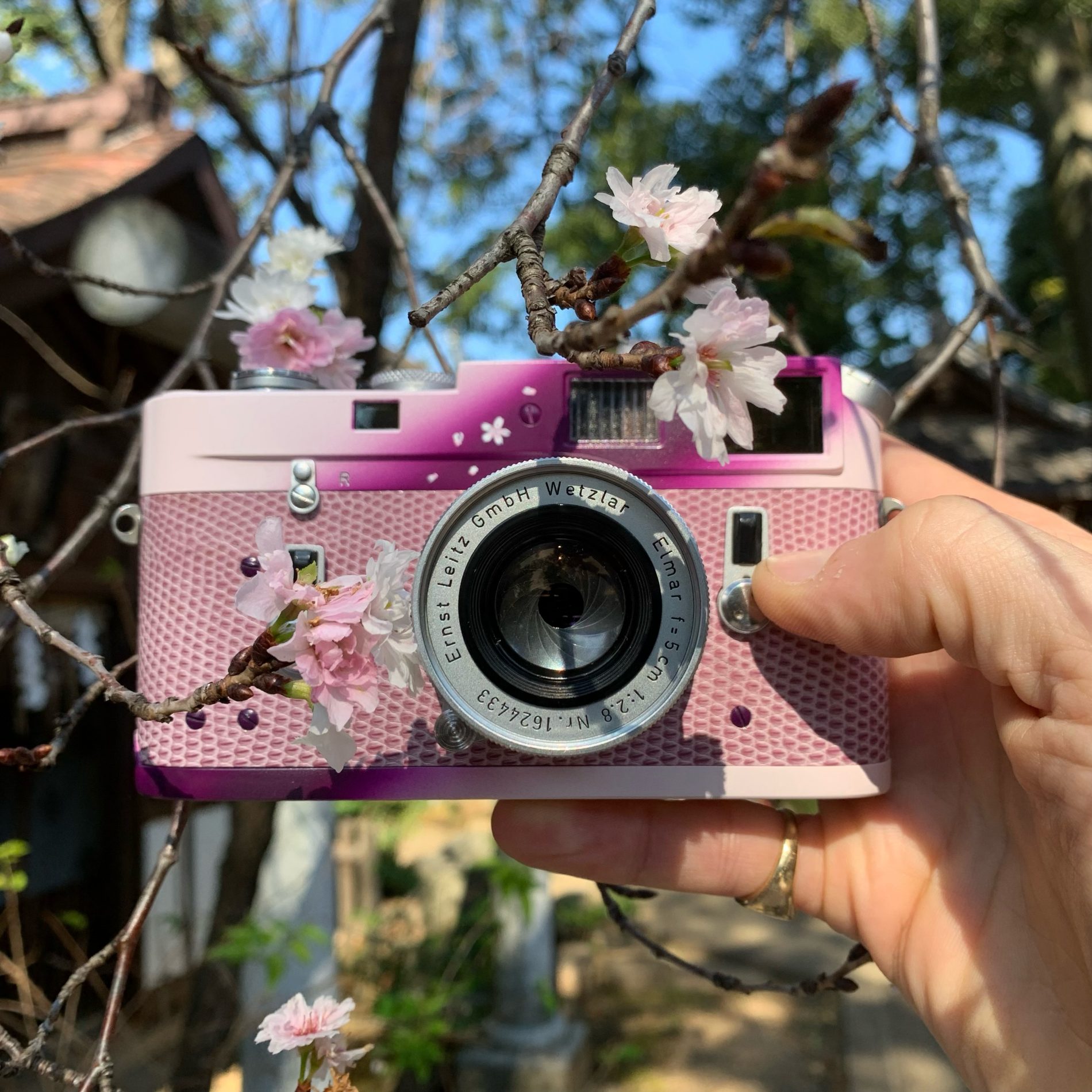 Leica M4 สีซากุระ ฉลองครบรอบ 10 ปี ร้านกล้อง Japan Camera Hunter