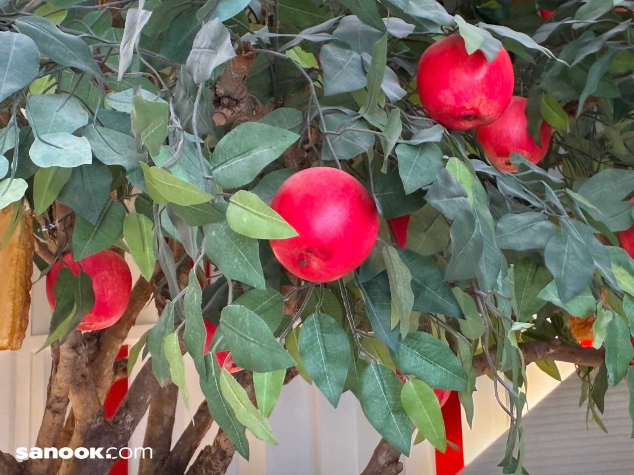 ภาพจาก iPhone 17e