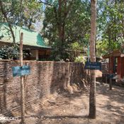 ภาพจาก Nothing Phone (4a) Pro