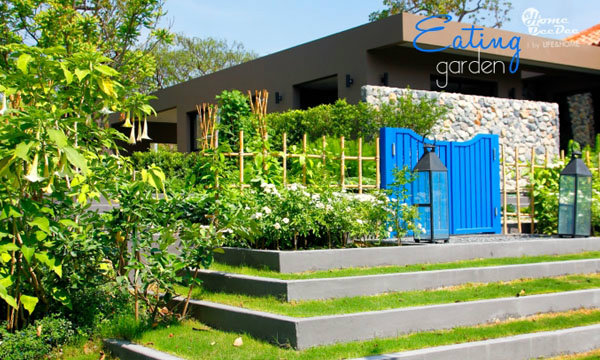 Eating Garden สวน(ผัก)กินได้
