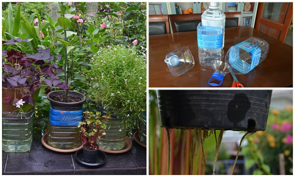 DIY ขวดน้ำช่วยชีวิต "ต้นไม้" เมื่อต้องหยุดยาวปีใหม่