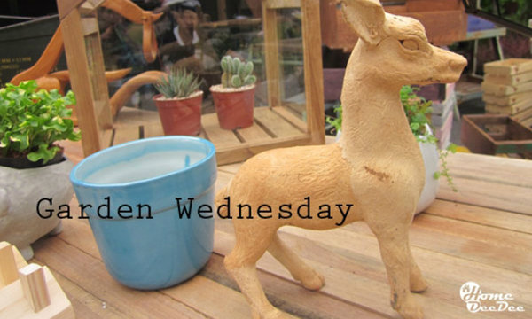 ร้านเก๋ๆ สไตล์คนชอบจัดสวน...Garden Wednesday