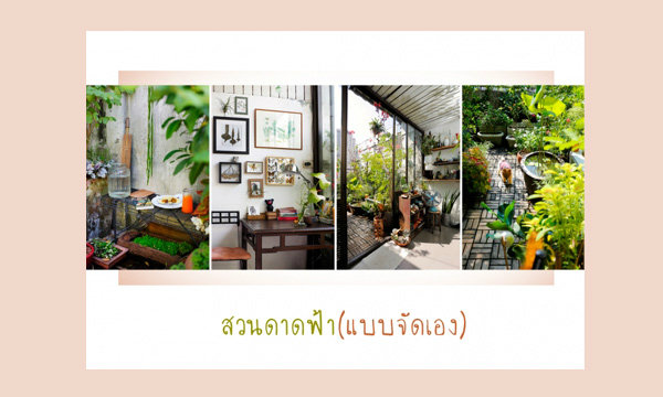 สวนดาดฟ้า (แบบจัดเอง)