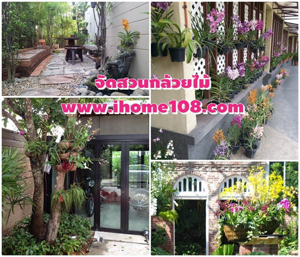 ไอเดียจัดสวนกล้วยไม้ในบ้าน