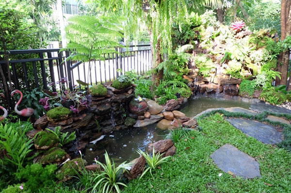 จัดสวนบ้านและคอนโด จัดสวนบ้านและคอนโด