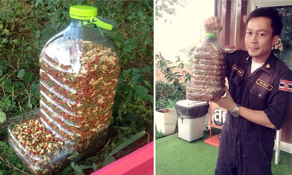 DIY ที่ให้อาหารแมวและสุนัข ทําเอง (ออโต้)