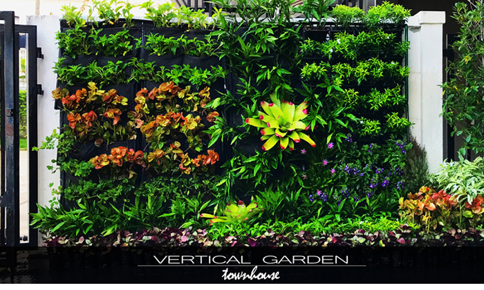 รีวิวการ DIY. สวนแนวตั้ง vertical garden มาพร้อมระบบรดน้ำอัตโนมัติ ในงบไม่เกิน 10,000 บาท