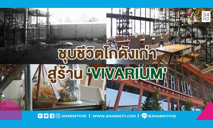 ‘VIVARIUM’ รีโนเวทโกดังเก่า เป็นสวนสวยในเรือนแก้ว