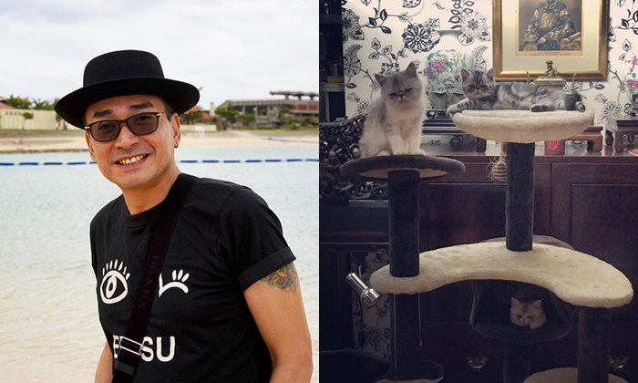 เปิดคอนโดมิเนียมส่วนตัว “นีโน่ เมทนี บุรณศิริ” โลกแห่งแมว และของโบราณ