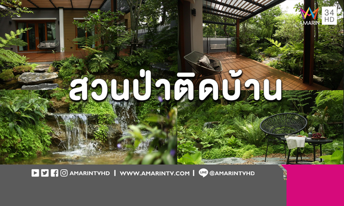 ว้าวหนักมาก! สวนป่าเขียวชะอุ่ม น้ำตกชุ่มชื่น บนพื้นที่ 100 ตารางเมตร