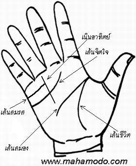 ดูลายมือ