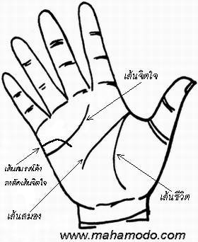 ดูลายมือ