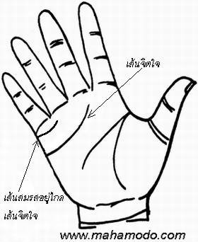 ดูลายมือ