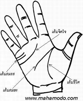 ดูลายมือ