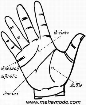 ดูลายมือ