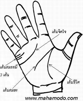 ดูลายมือ