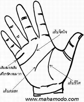 ดูลายมือ