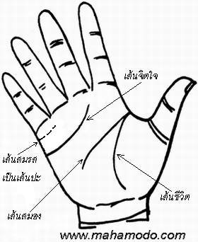 ดูลายมือ