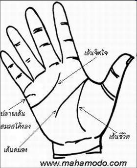 ดูลายมือ