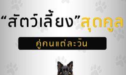 "สัตว์เลี้ยง" ที่ส่งเสริมสนับสนุน คนแต่ละวัน ควรเลี้ยงอะไร?