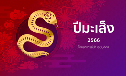 ดูดวงจีน 12 นักษัตร ปี 2566 (ปีมะเส็ง)